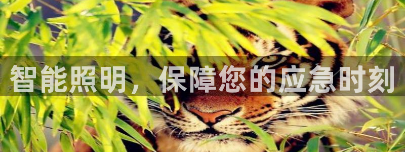 云顶国际晟荣协会高峰