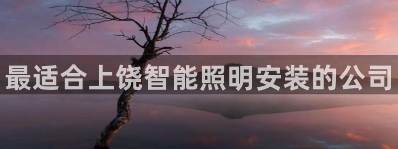 云顶国际公馆户型图