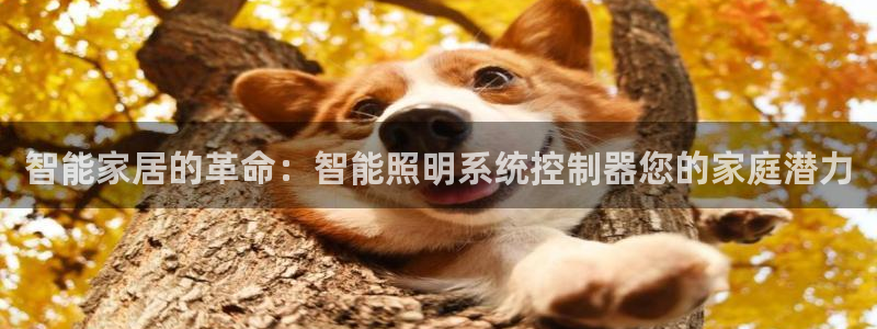 太原云顶国际酒店桑拿9楼