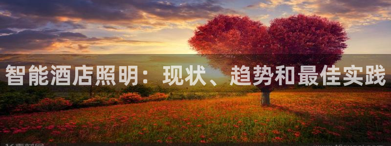云顶国际服手游