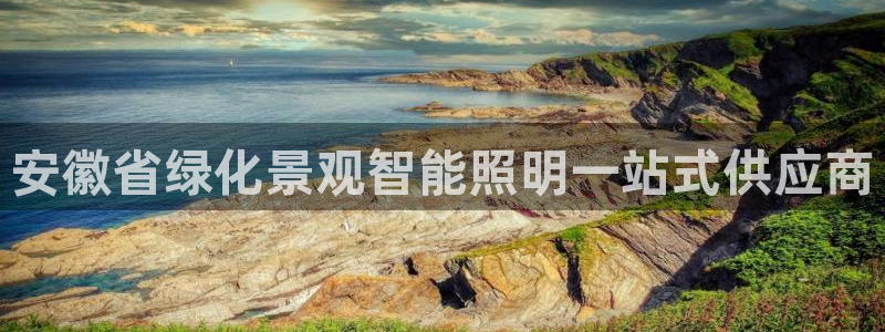 云顶国际服s10