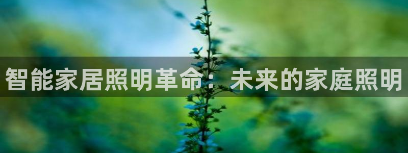 云顶国际大酒店在哪里