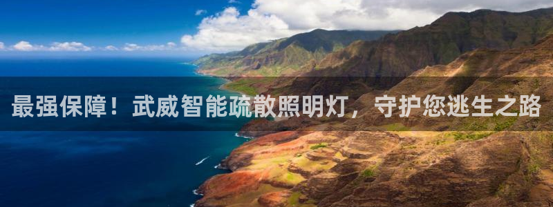 云顶集团有限公司简介图片