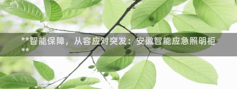 云顶国际ktv会所地址
