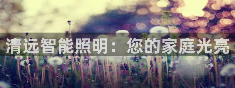 云顶国际软装公司怎么样