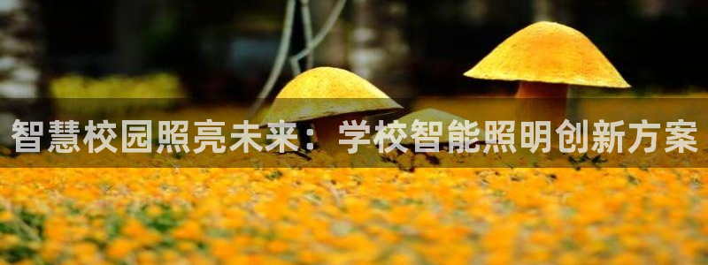 云顶国际平台怎么样