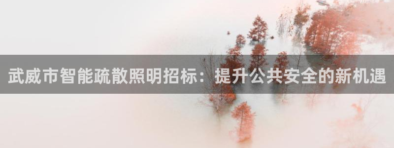 云顶集团公司简介