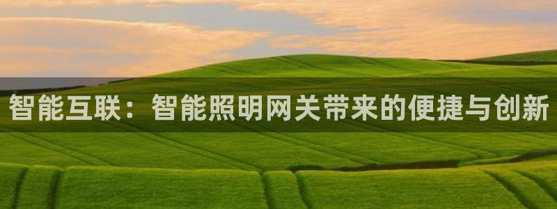 云顶集团有限公司官网