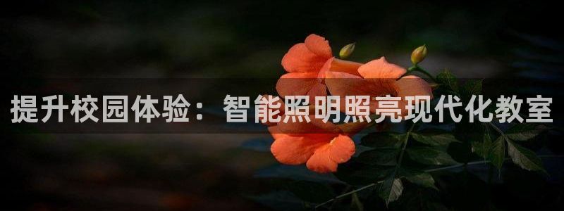 云顶国际前台电话号码