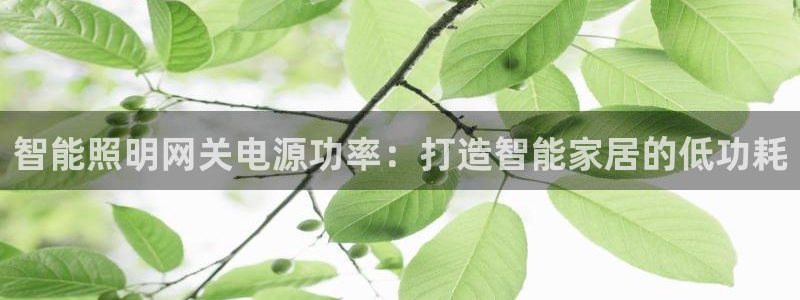云顶国际app官方