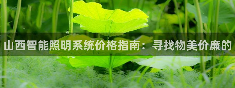 云顶国际教育