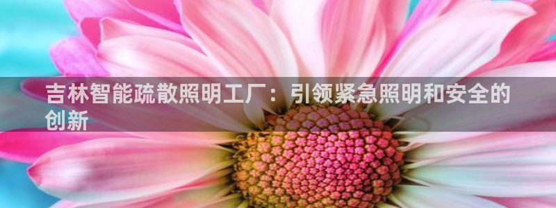 云顶国际取款多久到账啊