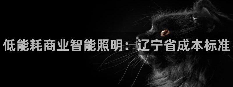 云顶集团APP下载