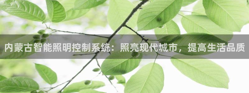 云顶国际app官网下载安装