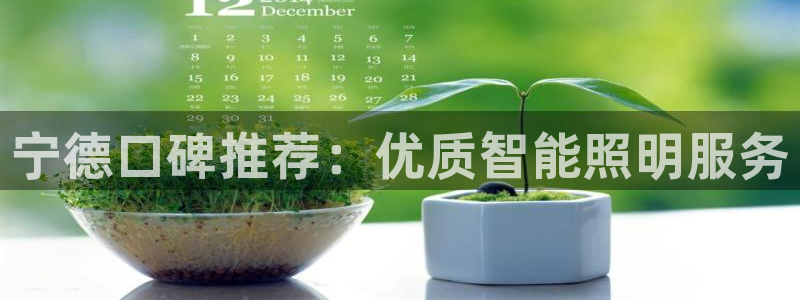 云顶国际物流官网电话