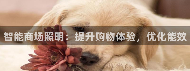 云顶国际官网官方客服