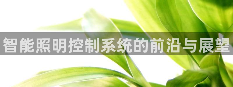 云顶国际高中学费多少