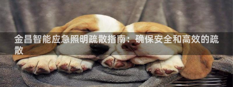 云顶国际城手机网址查询