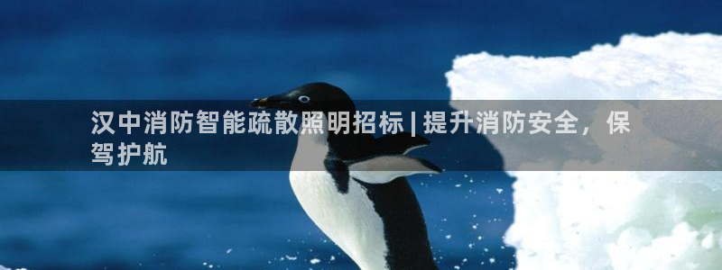 云顶国际A405
