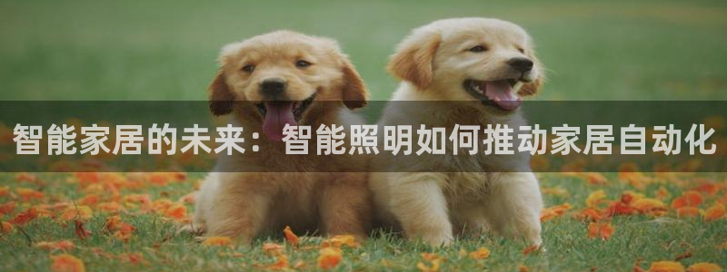 云顶集团app