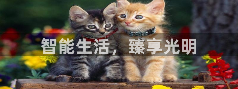 云顶集团总部在哪里