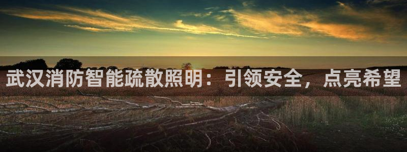 云顶国际中国官方网站