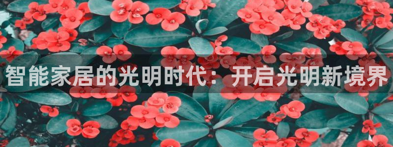 云顶国际前台电话号码