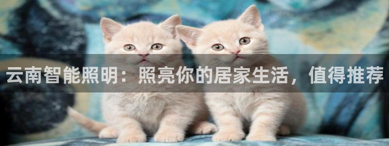 云顶国际服充值