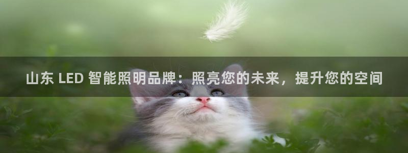 云顶集团老总子女