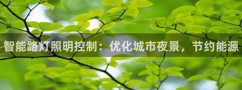 云顶国际app手机版