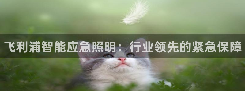 云顶国际集团官网首页