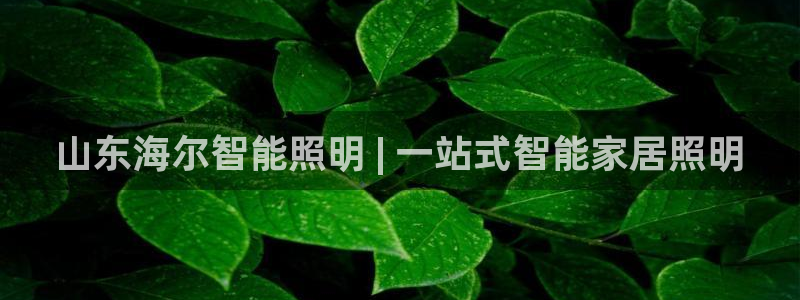 云顶国际商业广场 停车