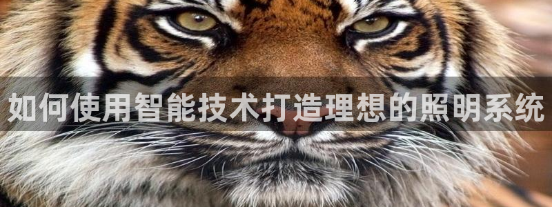 云顶国际商务会所地址