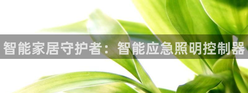 云顶国际服下面按键不灵敏