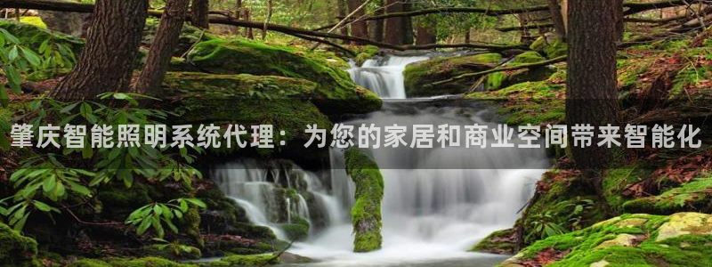 云顶电竞下载