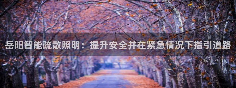 云顶电玩城游戏官网