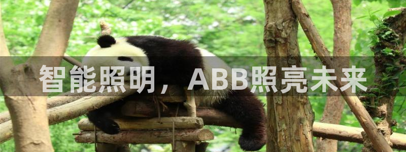 云顶国际存款