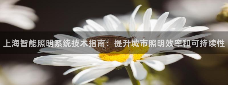 云顶国际官方网站下载手游