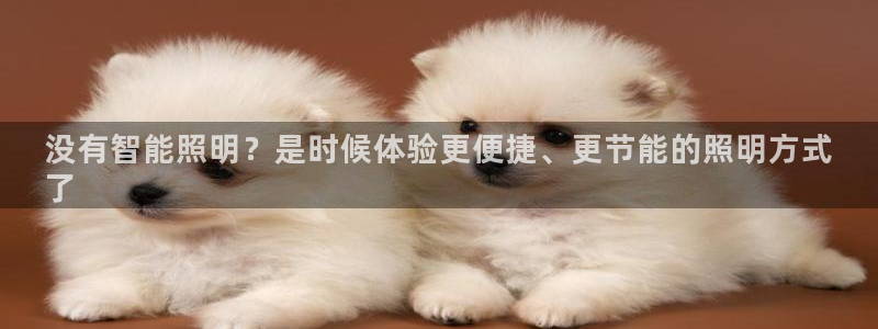 云顶国际取款多久到账户