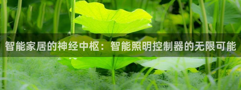 2020云顶