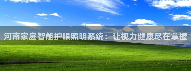 云顶国际房地产有限公司