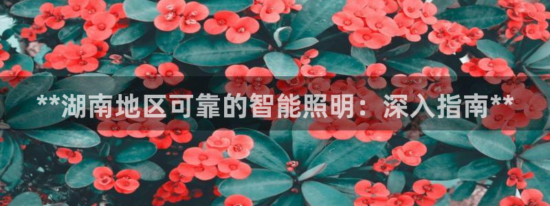云顶国际集团官网网址