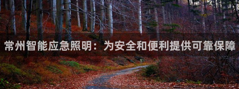云顶集团有限公司简介图片