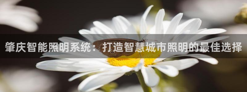 云顶国际培训中心电话