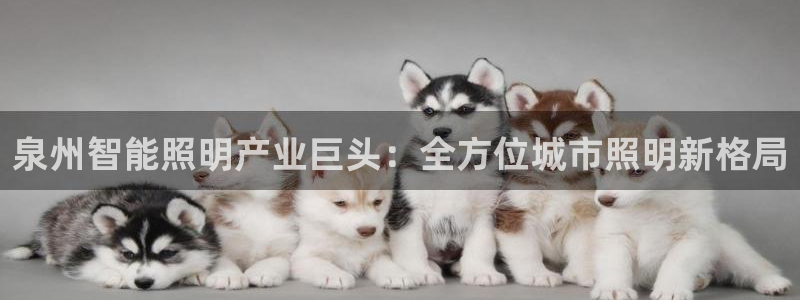 552211云顶网站