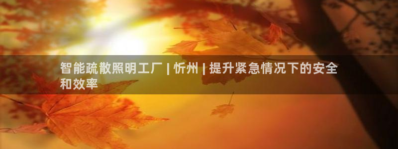 云顶国际官方网站下载手机版