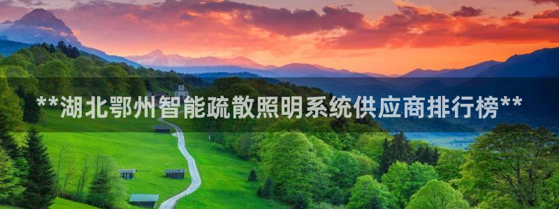 云顶国际有限公司