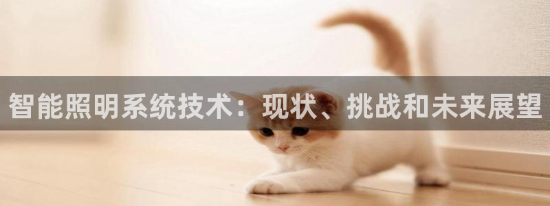 云顶国际KTV商务会所(新华街南段店)简介