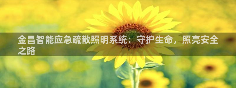 云顶国际在线