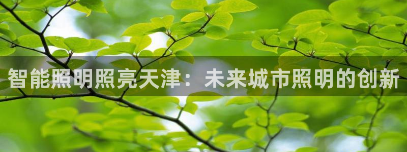 手游云顶国际服下载